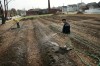 Immigrant and refugee urban farming class