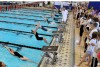 Girls Swimming Championships 