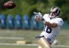 No Moss or Burress, but Rams improve at WR