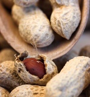 Peanuts