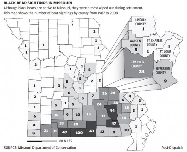 On the prowl for Missouri black bears News
