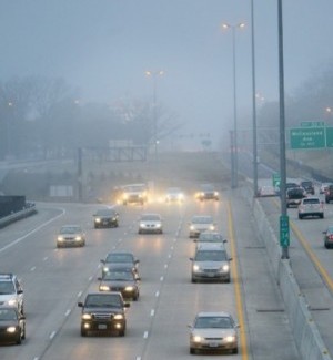 Foggy Morning