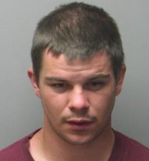 Наркоманы угнали грузовик с мышами