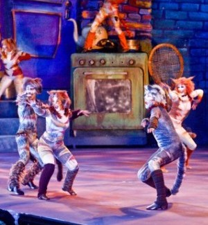 "Cats" at The Muny