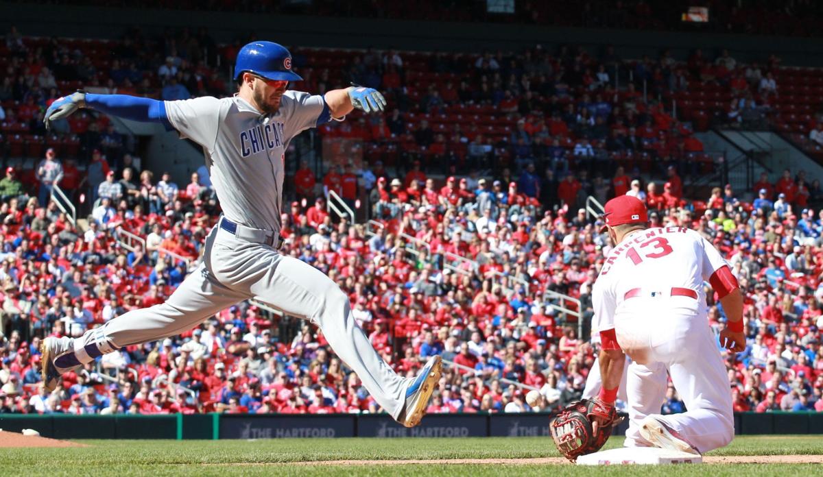 Why 2017 Cubs seem so familiar to 2016 Cardinals | Derrick Goold: Bird Land | www.bagssaleusa.com/product-category/classic-bags/