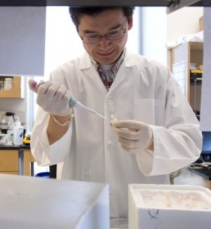 Stem