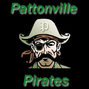 VOLLEYBALL: Painter helps Pattonville sweep Ritenour