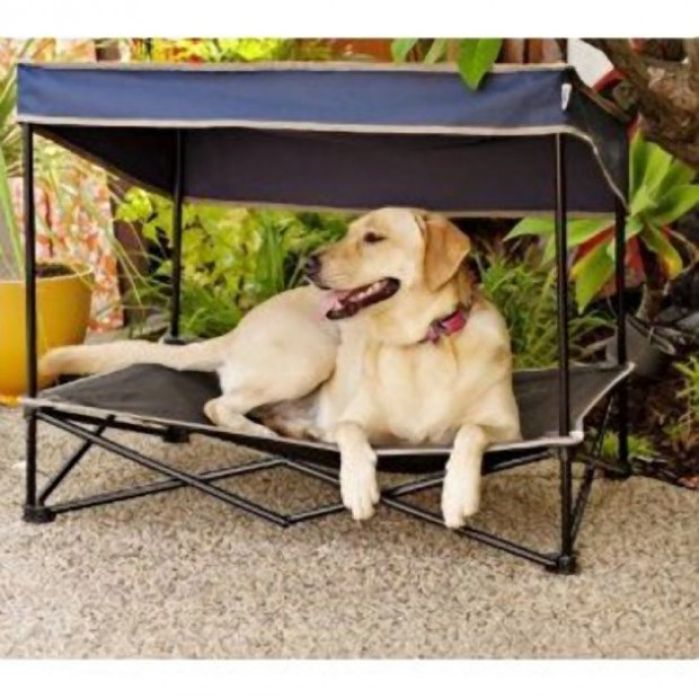 Product Pick Outdoor pet shade Lifestyles