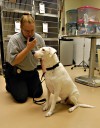 Animal Control