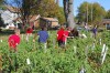 Community garden