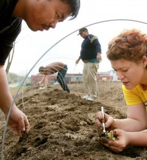 Immigrant and refugee urban farming class