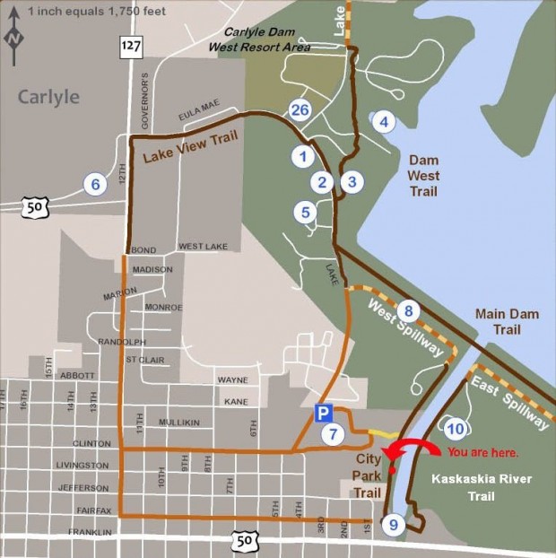 Trail of the week • Carlyle Lake multiuse trail Stltoday