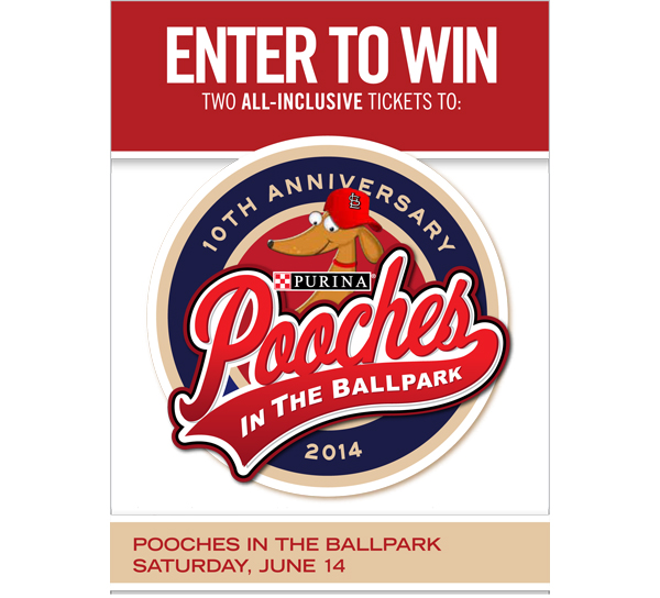 Purina Pooches in the Ballpark returns