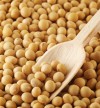 Mizzou researcher tries to crack code on soybeans