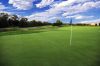 AREA GOLF COURSE GUIDE