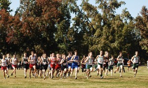Webster, Westlake win GAC North titles