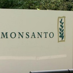 Monsanto sign at offices on Lindbergh Blvd. 
