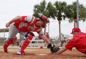 Saturday at Cardinals spring training
