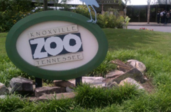 33 Reptiles Found Dead At Knoxville Zoo 