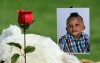2-year-old killed in hit and run