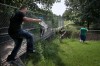Hoax-search for baboon in Florissant ends