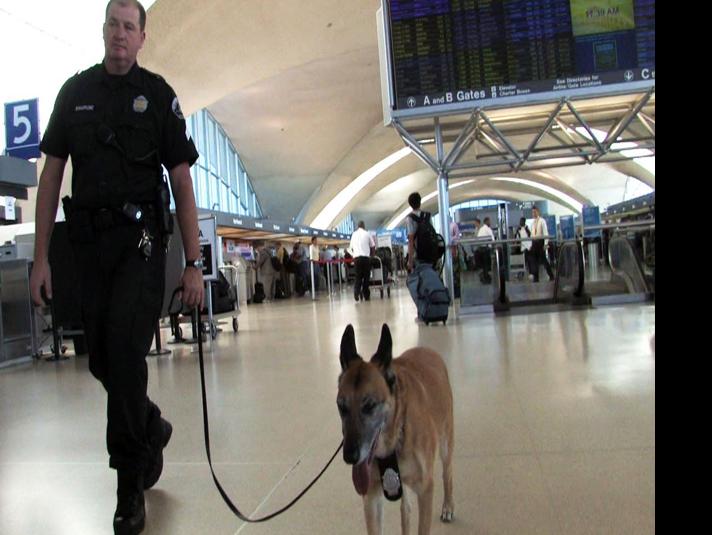 Airport officers get new chief as merger with city police stalls - STLtoday.com