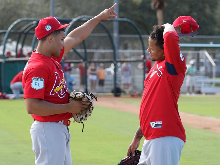 Ortiz: Young Cards pitcher Fernandez working towards his dream - STLtoday.com