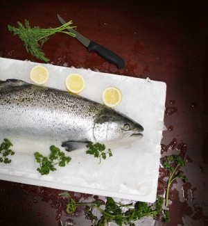 Fish