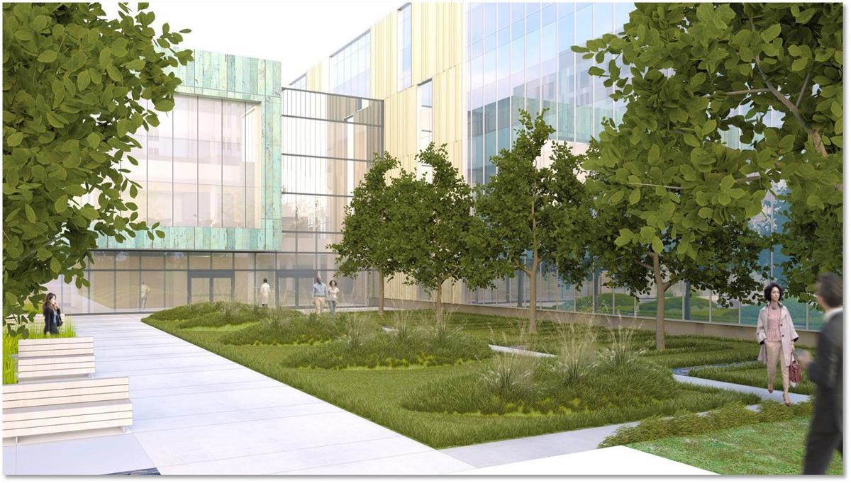 Take a look at the new SLU Hospital — set to open in 2020 | Business | 0