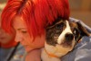 Humane Society of Missouri and Missouri Department of Agriculture rescue animals.