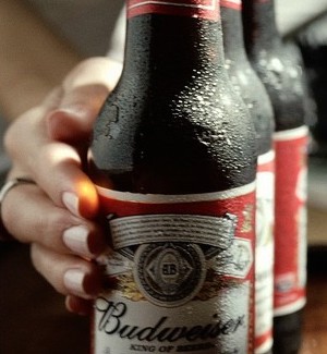 Budweiser Beer