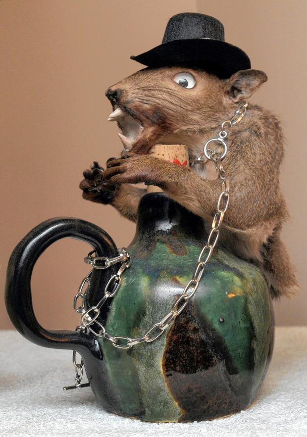 stuffed squirrel taxidermy