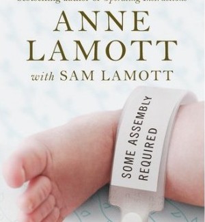 Anne Lamott book