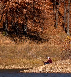 Lone Elk park in jeopardy of closing under budget proposal