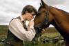 REVIEW: Spielberg puts viewers' emotions through paces in 'Warhorse  