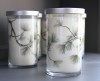 Siberian Fir Screen Print Candle