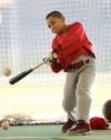St. Louis Cardinals Continue Spring Training At Roger Dean Stadium In Jupiter, Fla.