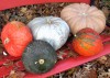 HOME PLATE: Foods favor tradition for family holiday  
