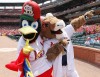 Fredbird and new Rams mascot at the Cardinals game