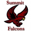 Summit falcons logo