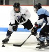 Triad, Collinsville post lopsided victories in MVCHA action