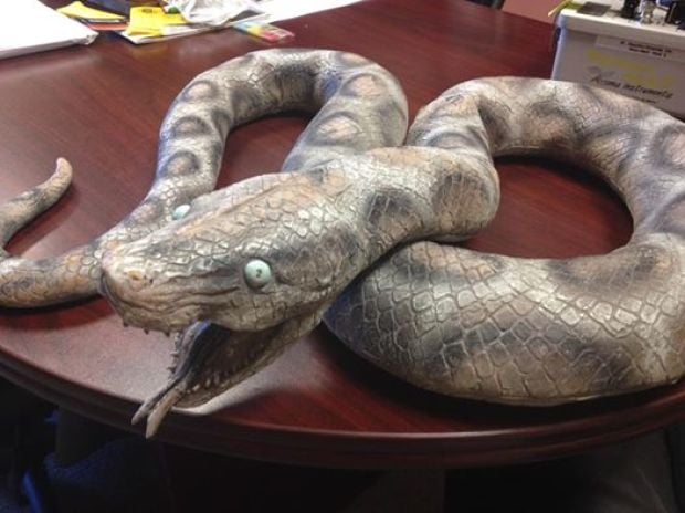 Rescue Of Fake Snake Causes Stir In Lincoln County : News