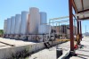Bogus fuel credits roil biodiesel industry