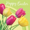 Happy Easter and Passover to our friends in America and all over the world