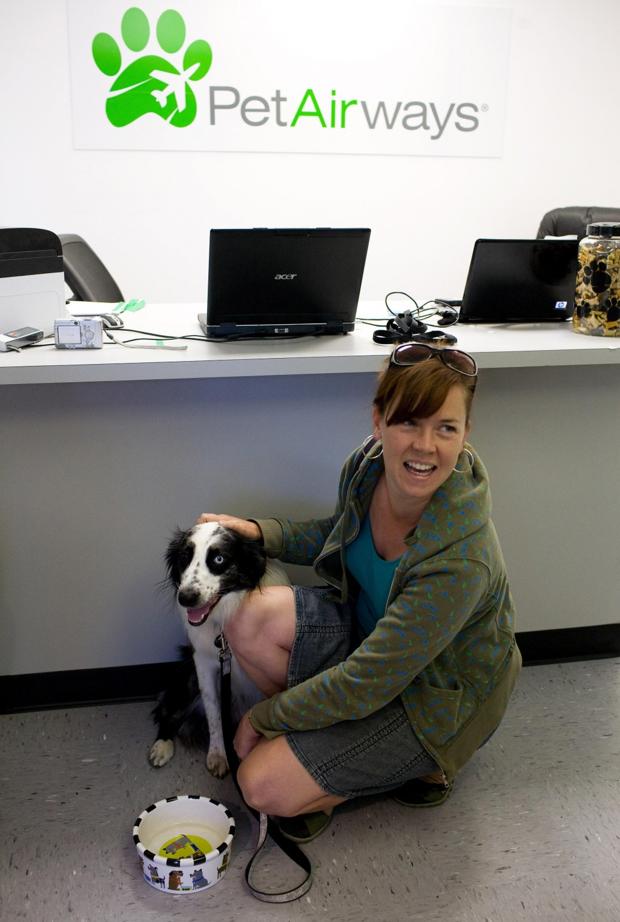 Pet-only airline a no-show in St. Louis : Business
