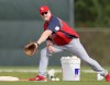 Cardinals Spring Training