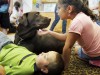 Chocolate Lab Waco Becomes Part of Youth in Need's Head Start Program in Wentzville