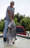 Record setting catfish