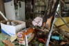 Storm blows tree down on top of home in Jennings