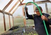 Immigrant and refugee urban farming class